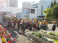 IMGP2517
