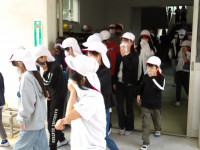 IMGP3098