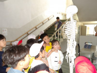 IMGP2939