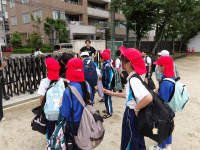 IMGP4254