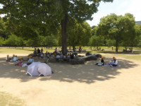 IMGP0600