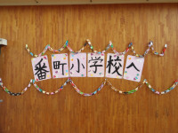 IMGP5062