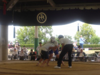 IMGP0043