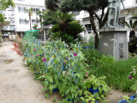 IMGP6545