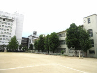 IMG_8809