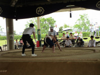 IMG_7108